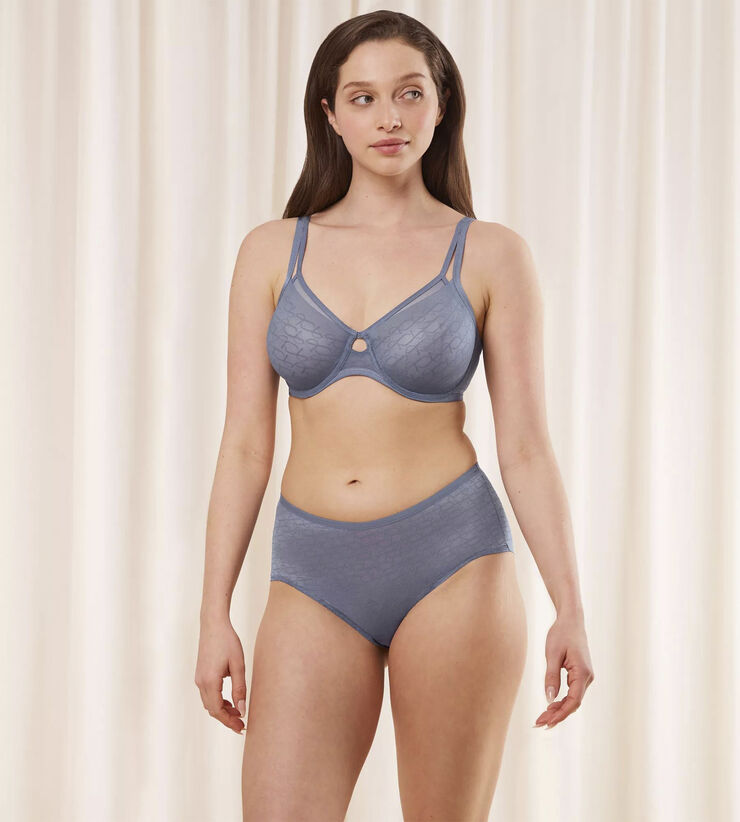 Triumph Triumph Signature Sheer W01 EX Cloudy blue