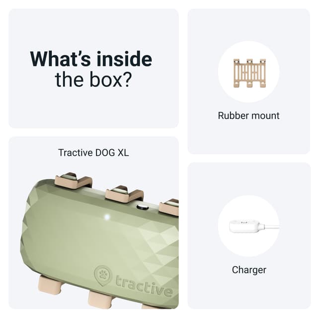 Tractive DOG XL GPS tracker til hund (grøn)