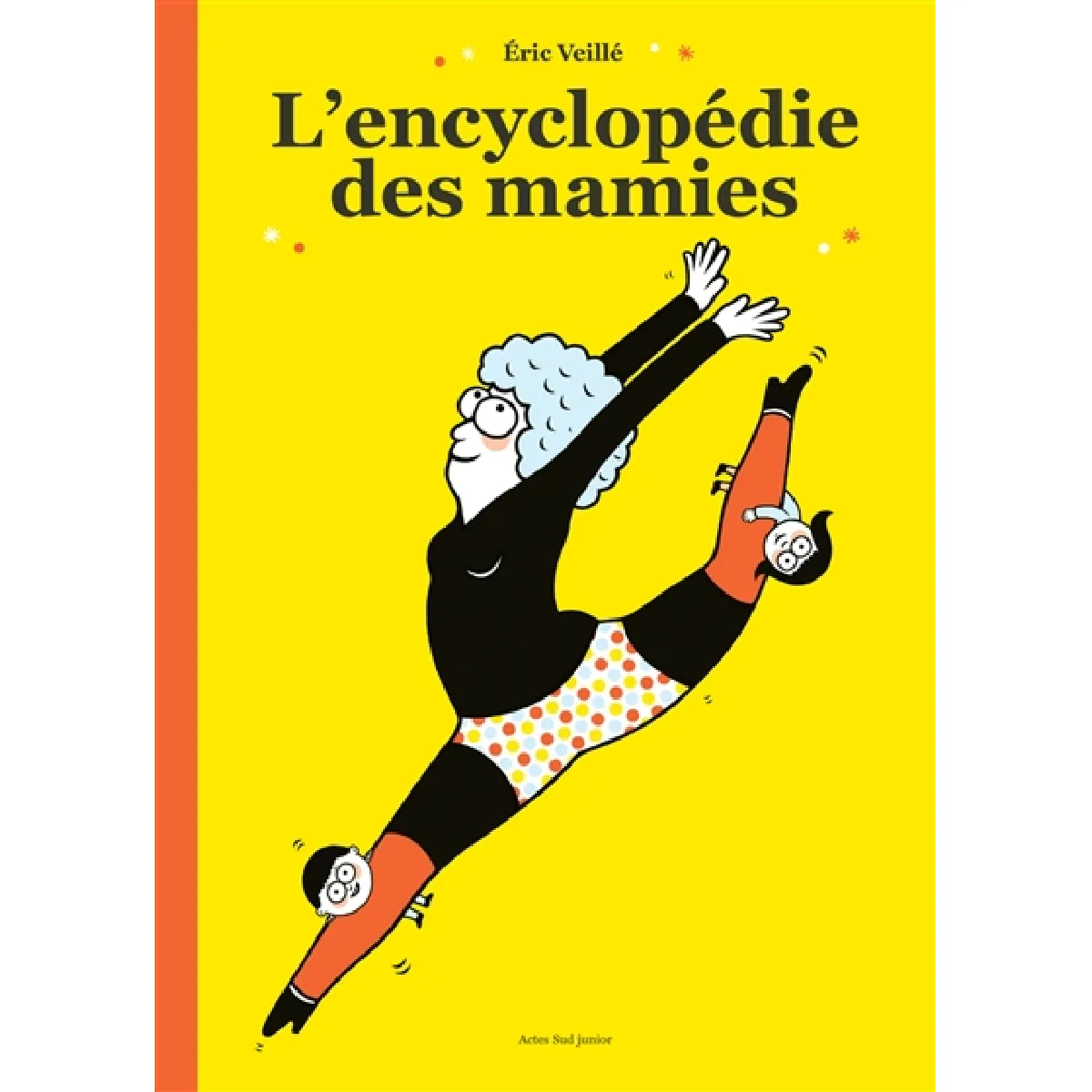 L'encyclopédie des mamies · Occasion