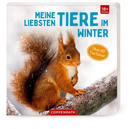 Coppenrath Verlag Meine liebsten Tiere im Winter