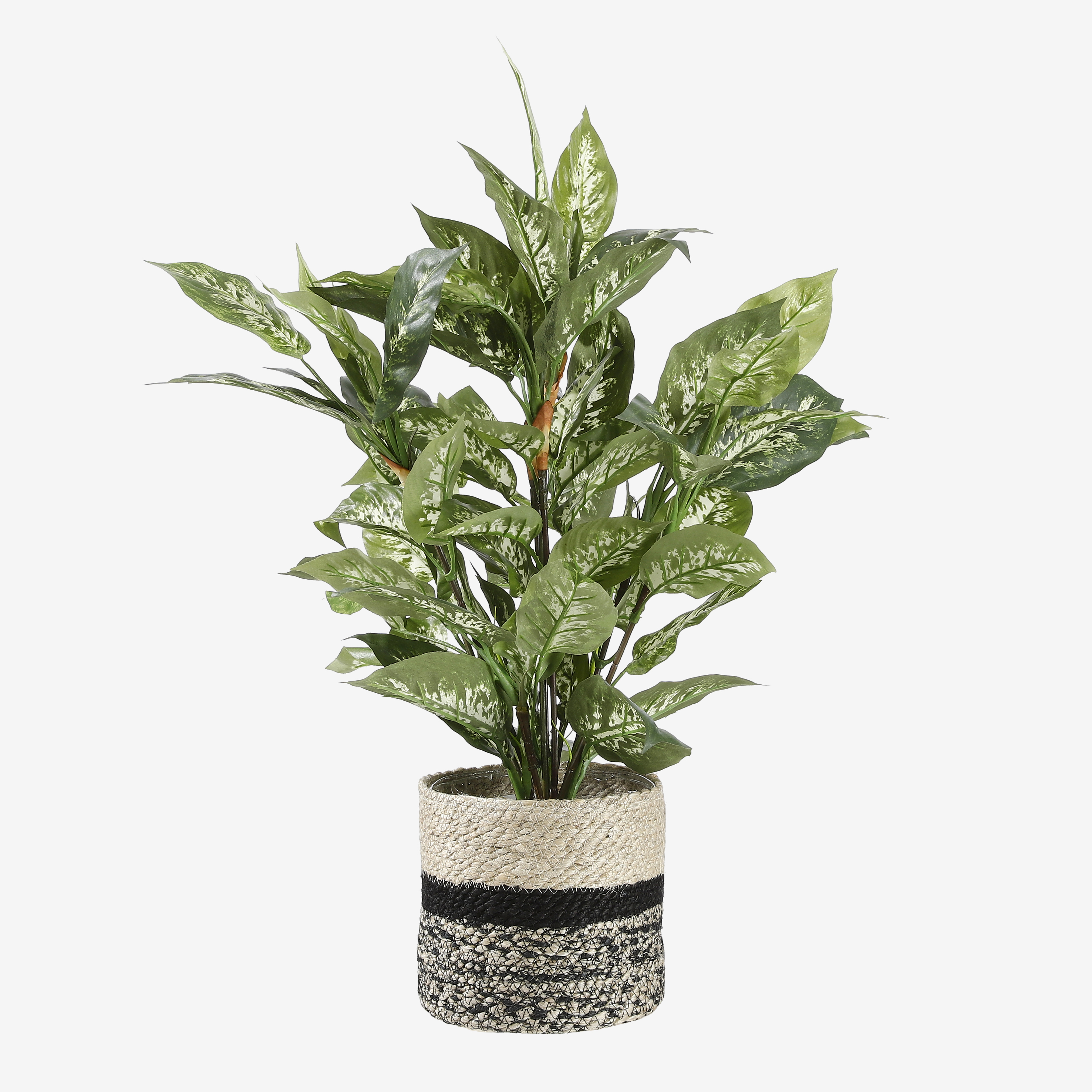 Mica decorations - dieffenbachia artificielle vert en pot h70