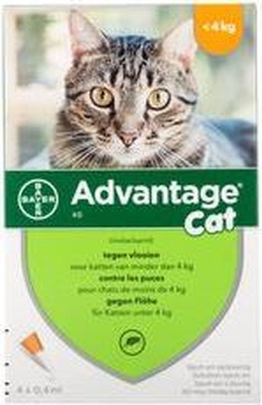 Advantage 40 kat