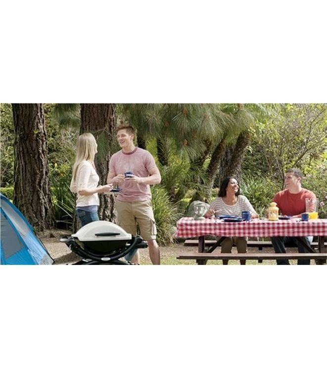 Weber Q 1000 Titan Mobiler Gasgrill, titanfarben