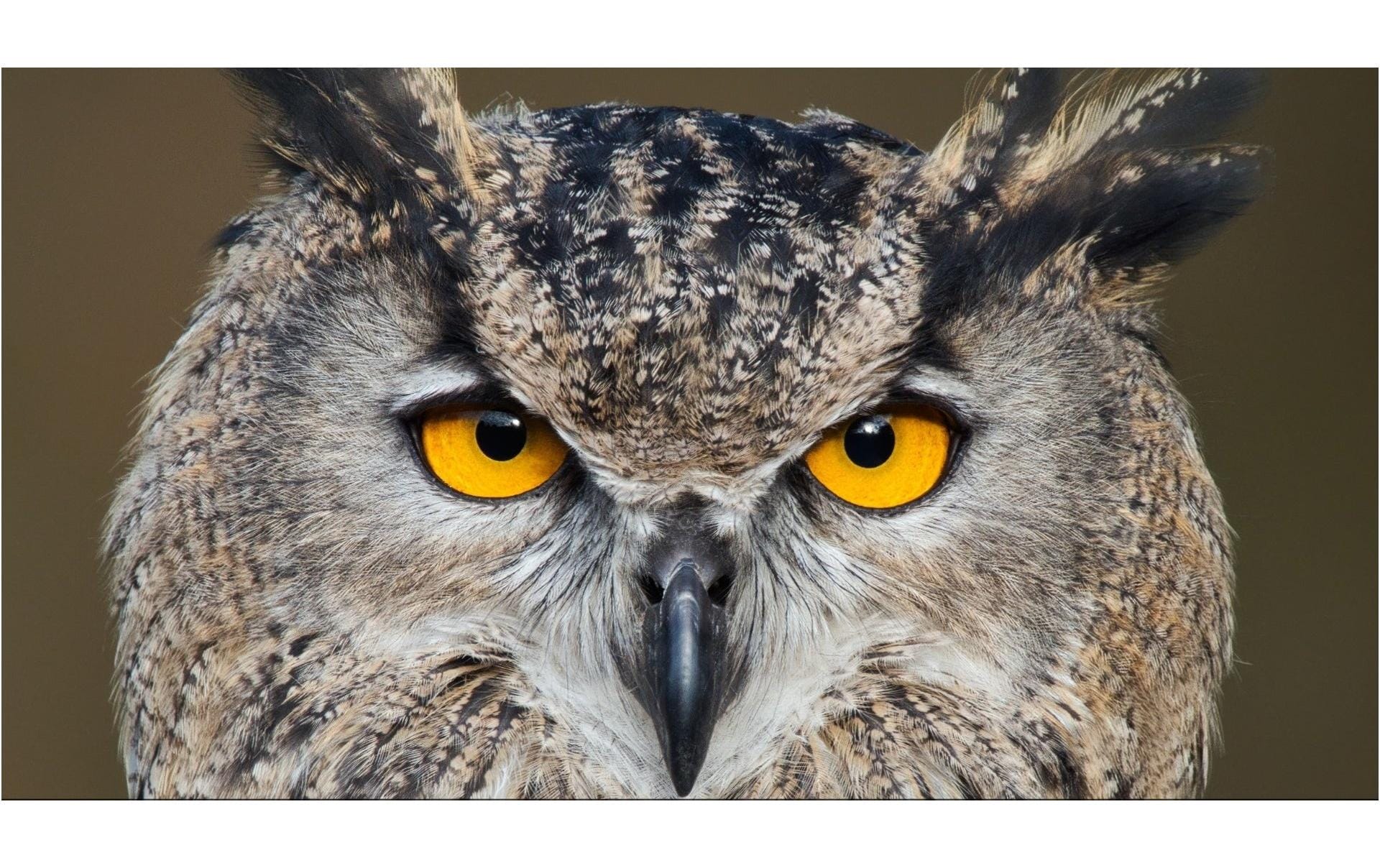 Zoomobjektiv M.Zuiko ED 150-400 mm F/4.5 IS Pro MFT<br>Supertelezoomobjektiv mit eingebautem Telekonverter