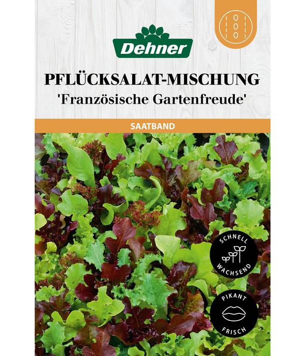 Dehner Saatband Pflücksalat-Mischung