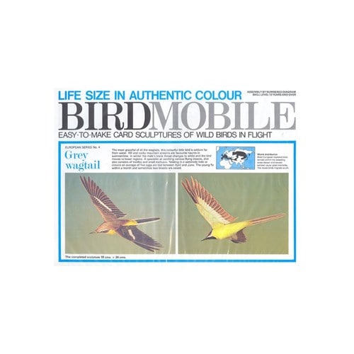 Birdmobile bergeronnette des ruisseaux