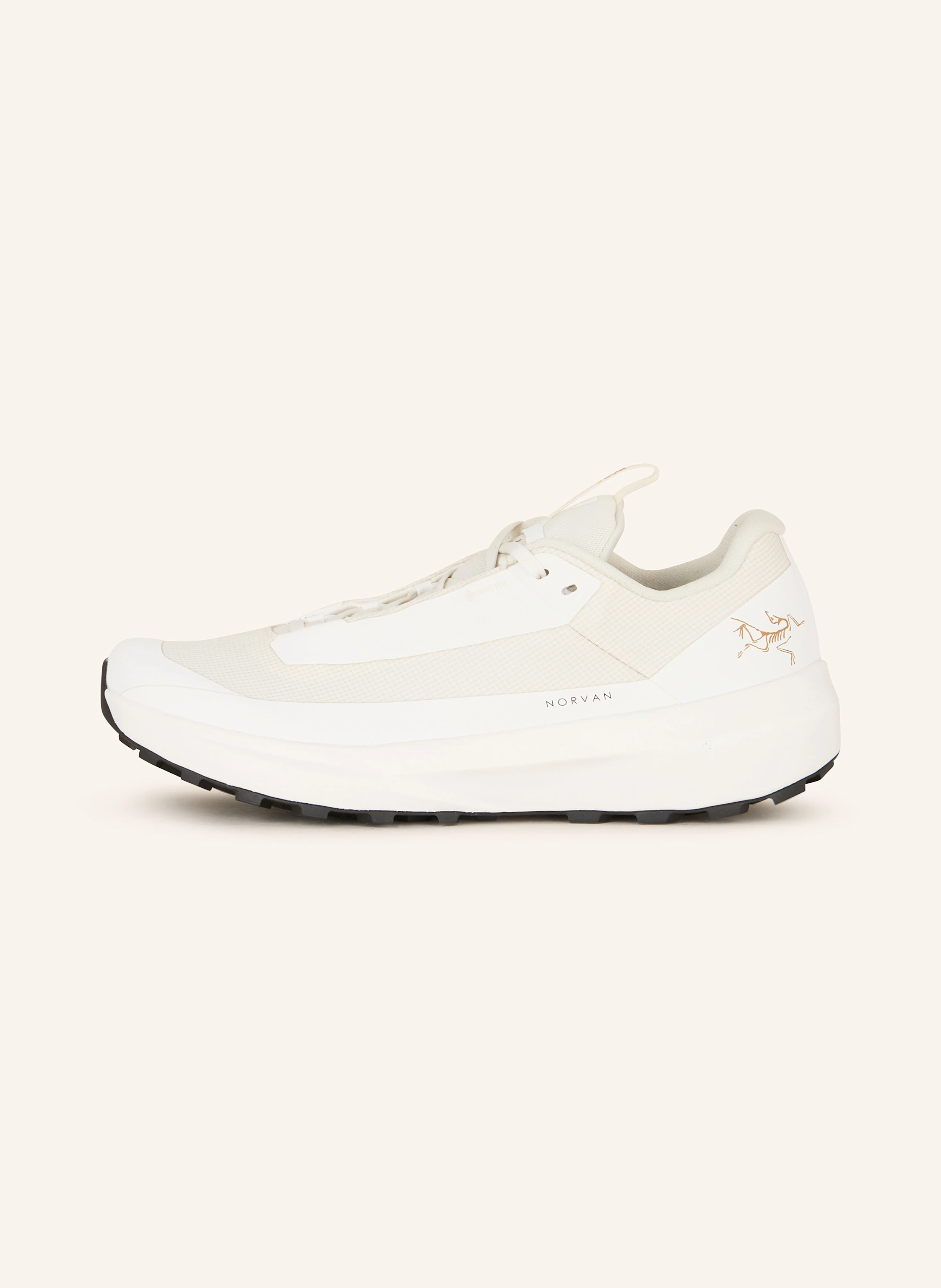ARC'TERYX Trailrunning-Schuhe NORVAN LD 4 GTX