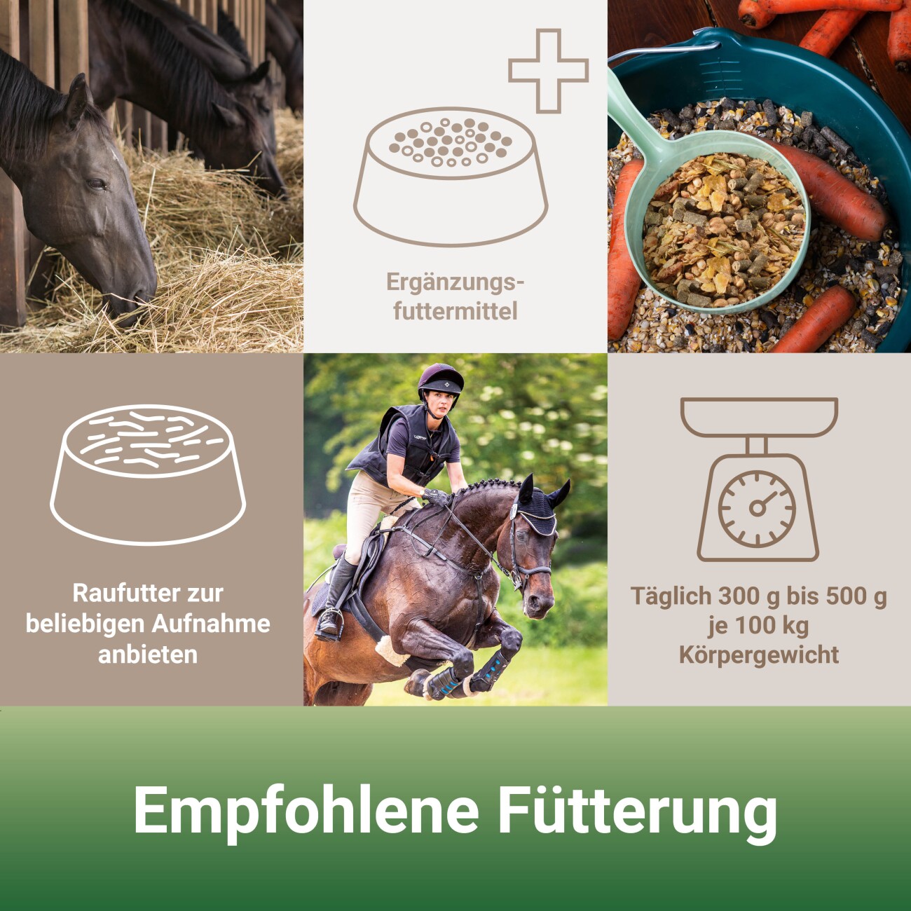 Panto SPORTMÜSLI MIT WISAN-LEIN 20kg