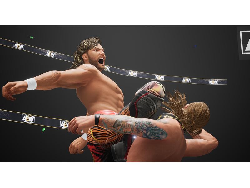 THQ AEW: Fight Forever Wrestling-Sportspiel für den PC