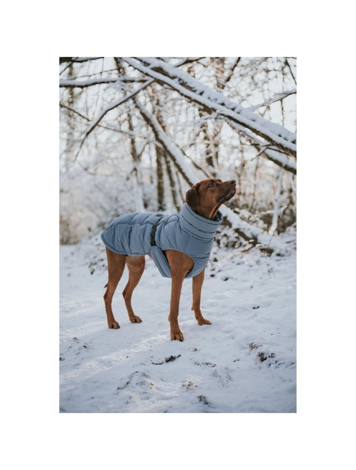 Hunter - Hundefrakke Dogcoat Paxson Gravhund 45, blå