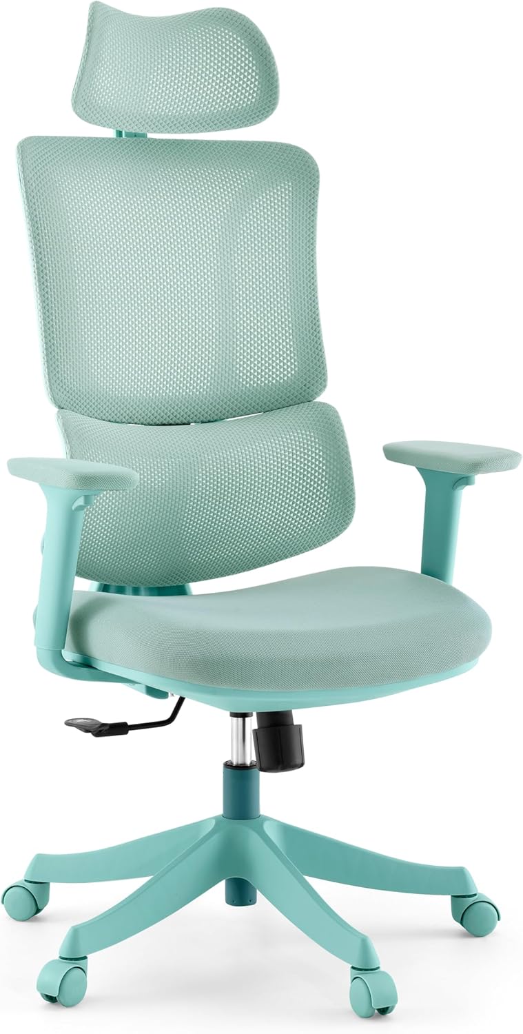 Bürostuhl Ergomy Colore – ergonomischer Schreibtischstuhl, atmungsaktiver Rückenlehne, Verstellbarer Lordosenstütze, 3D Armlehnen & Kopfstütze, Türkis