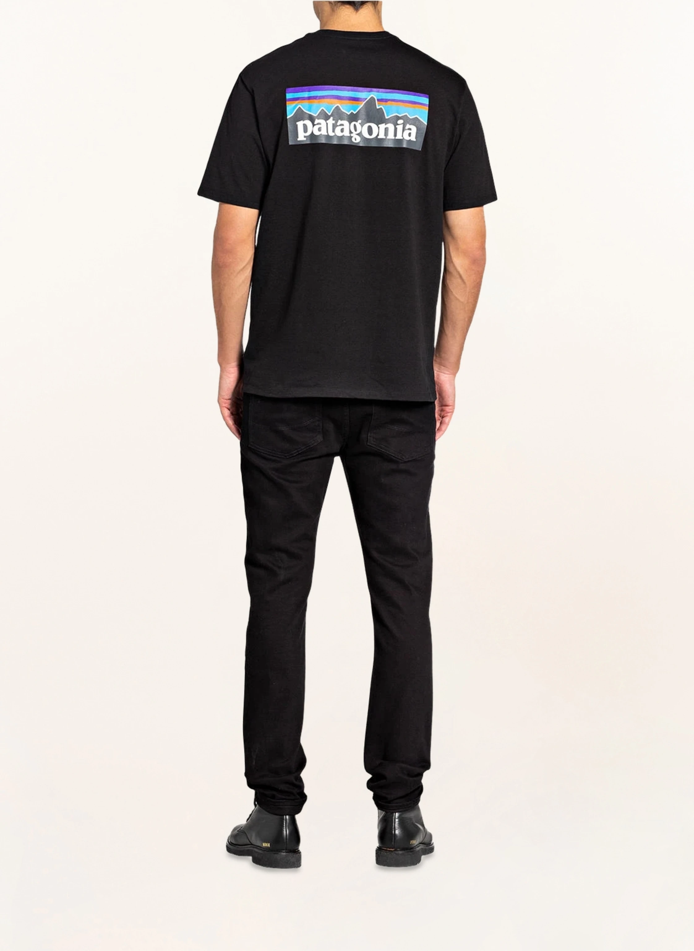 patagonia T-Shirt P-6