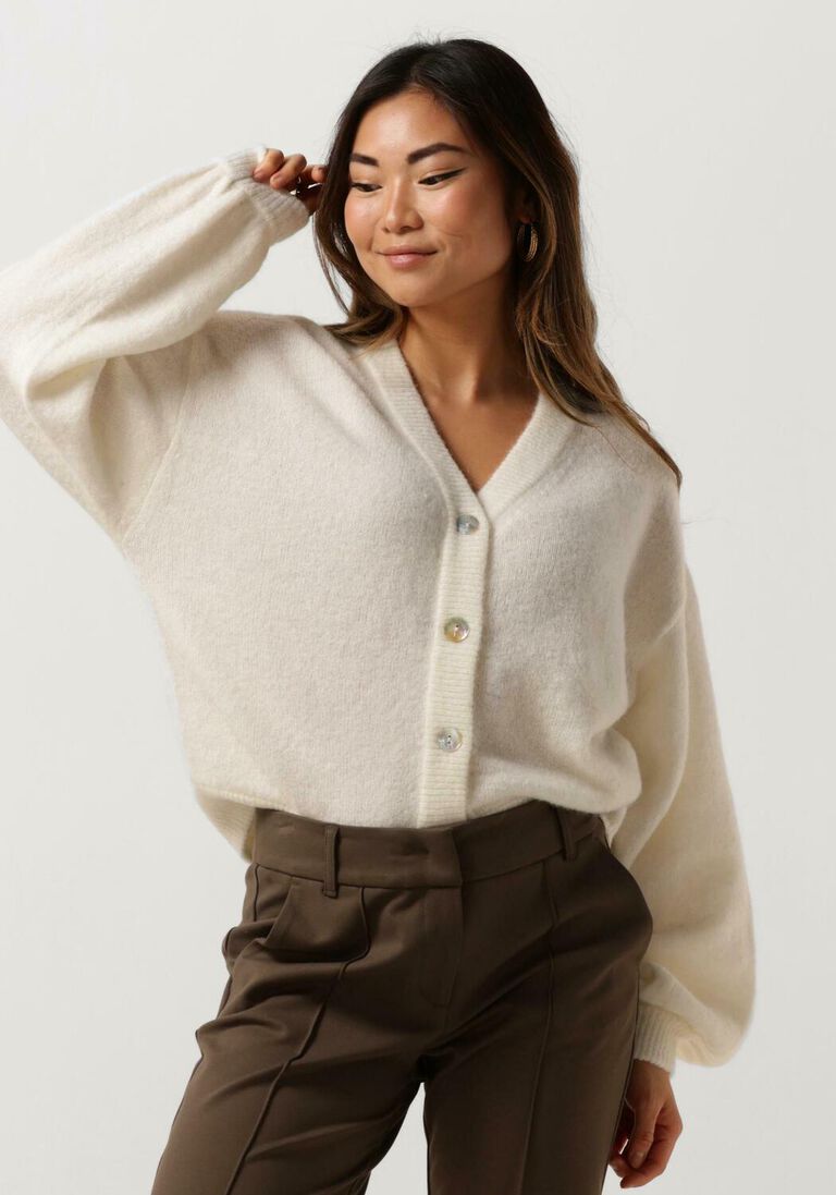 MSCH COPENHAGEN ecru msch copenhagen trui mschpetrinelle hope cardigan