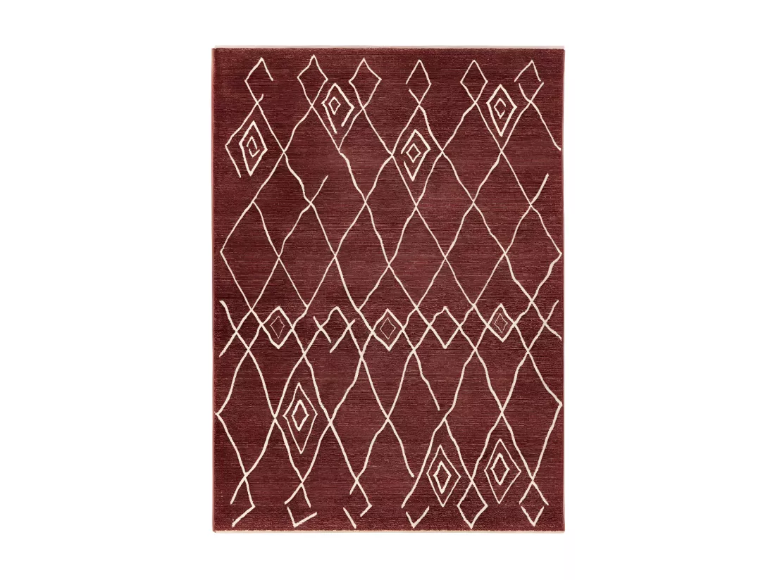 Tapis 290x200cm, design A205R coloris terracotta - Confort et élégance pour votre intérieur