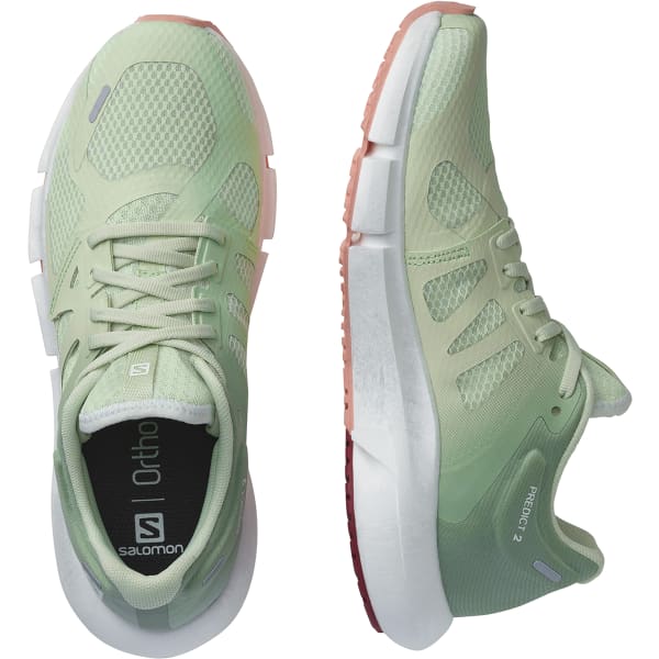 Chaussure running SALOMON PREDICT2 W OMING DAHLIA SPRAY/GRANITE GREEN/BLO