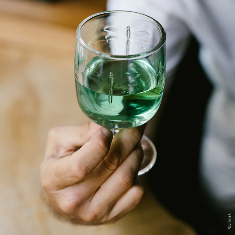Lot de 6 verres à pied, LIBELLULES La Rochère