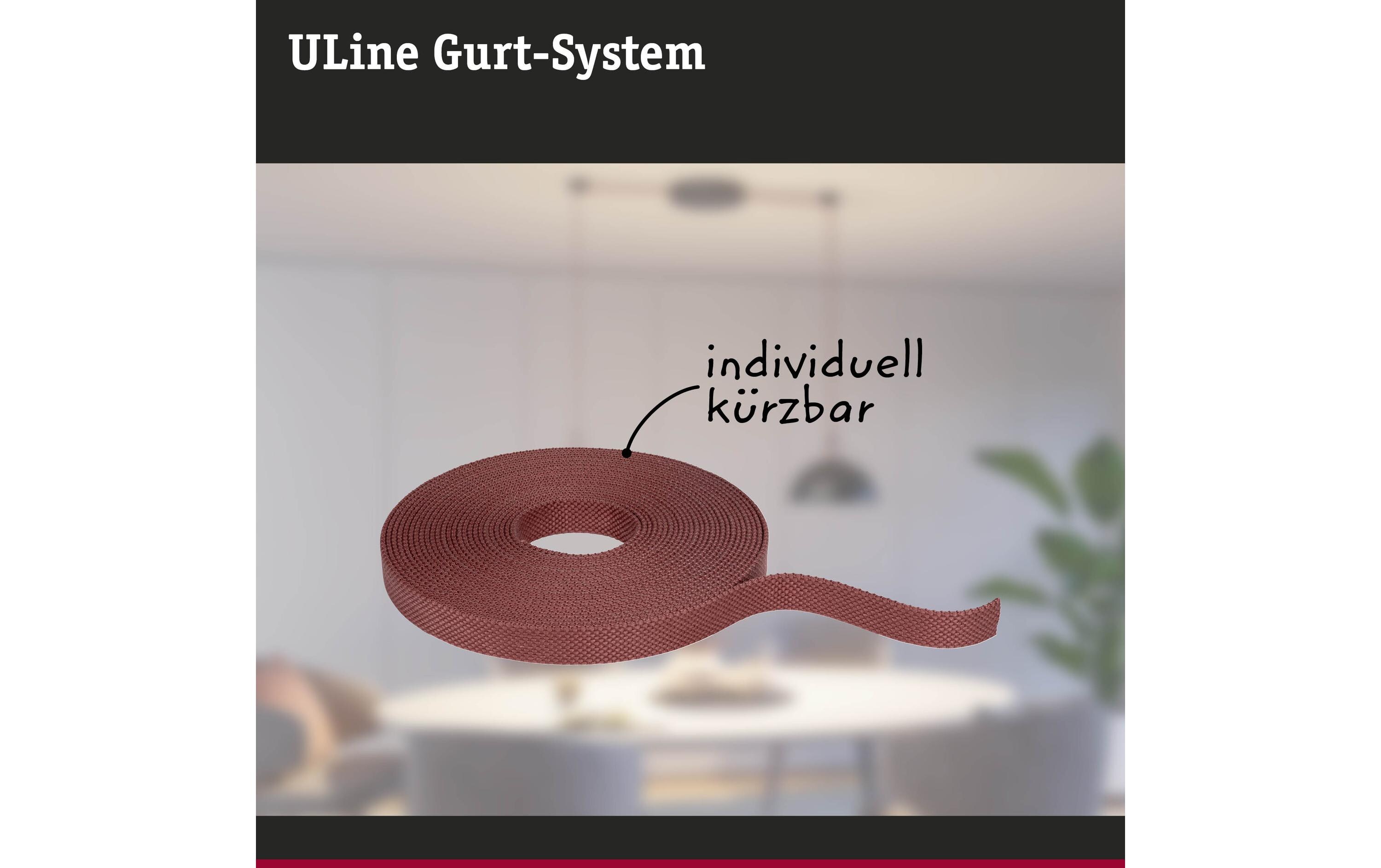 Gurt ULine 10 m, Dacron, TerracottaGurt-System als eine innovative Lösung für einzigartige Lichterlebnisse