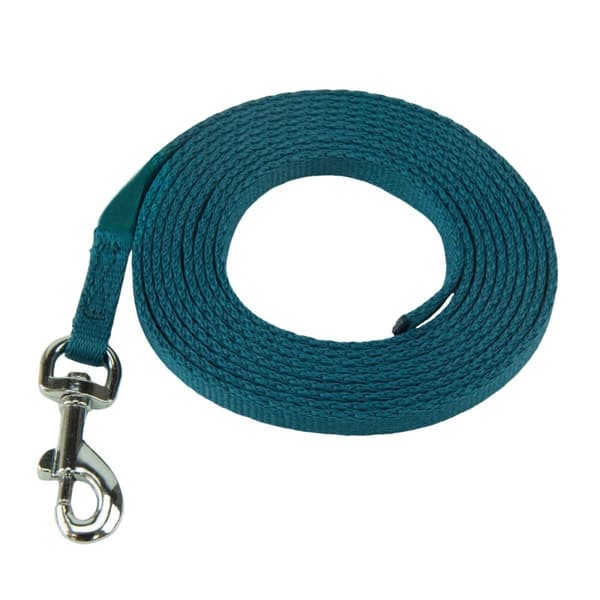 Hundesele Coachi