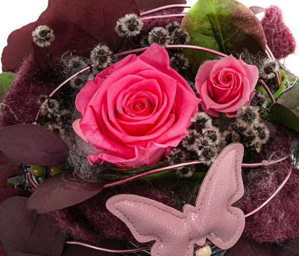 Dehner Keramik-Schale mit Longlife-Rose