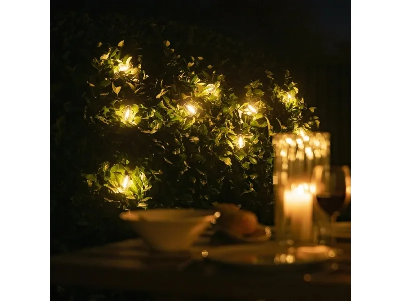 Vintage Edison Smart Light Chain - Voice Controlled LED Lights for Outdoor Use