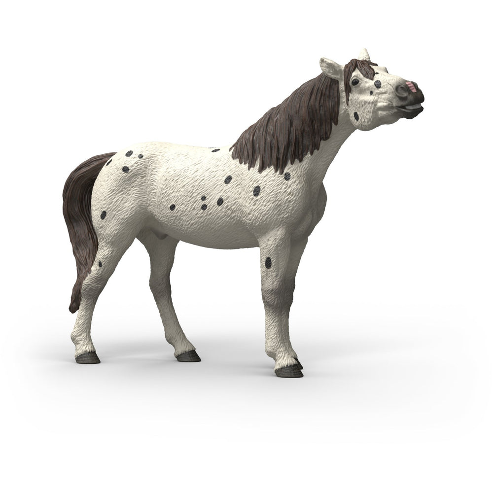 Køb Schleich Knabstrupper Vallak
