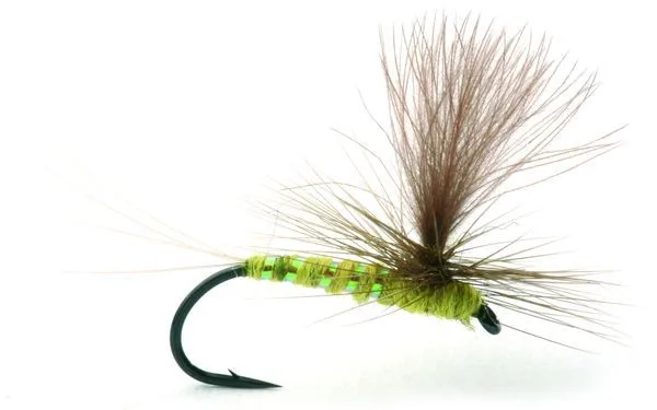 Umpqua Flies Olive Flash #17