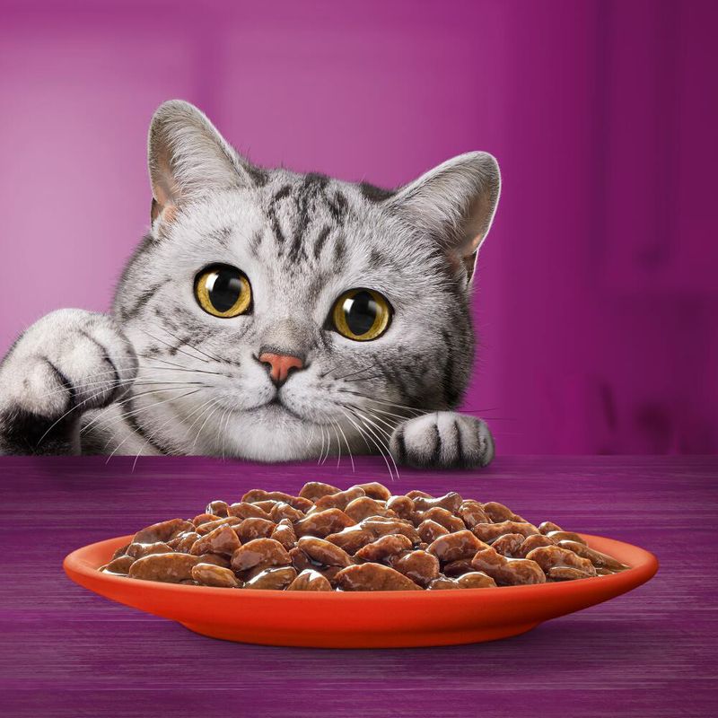 Whiskas 1+, adulte 24 x 85 g