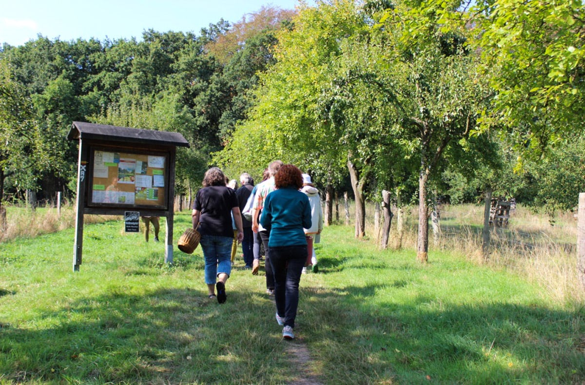 Wildkräuter Kurs Uhldingen-Mühlhofen