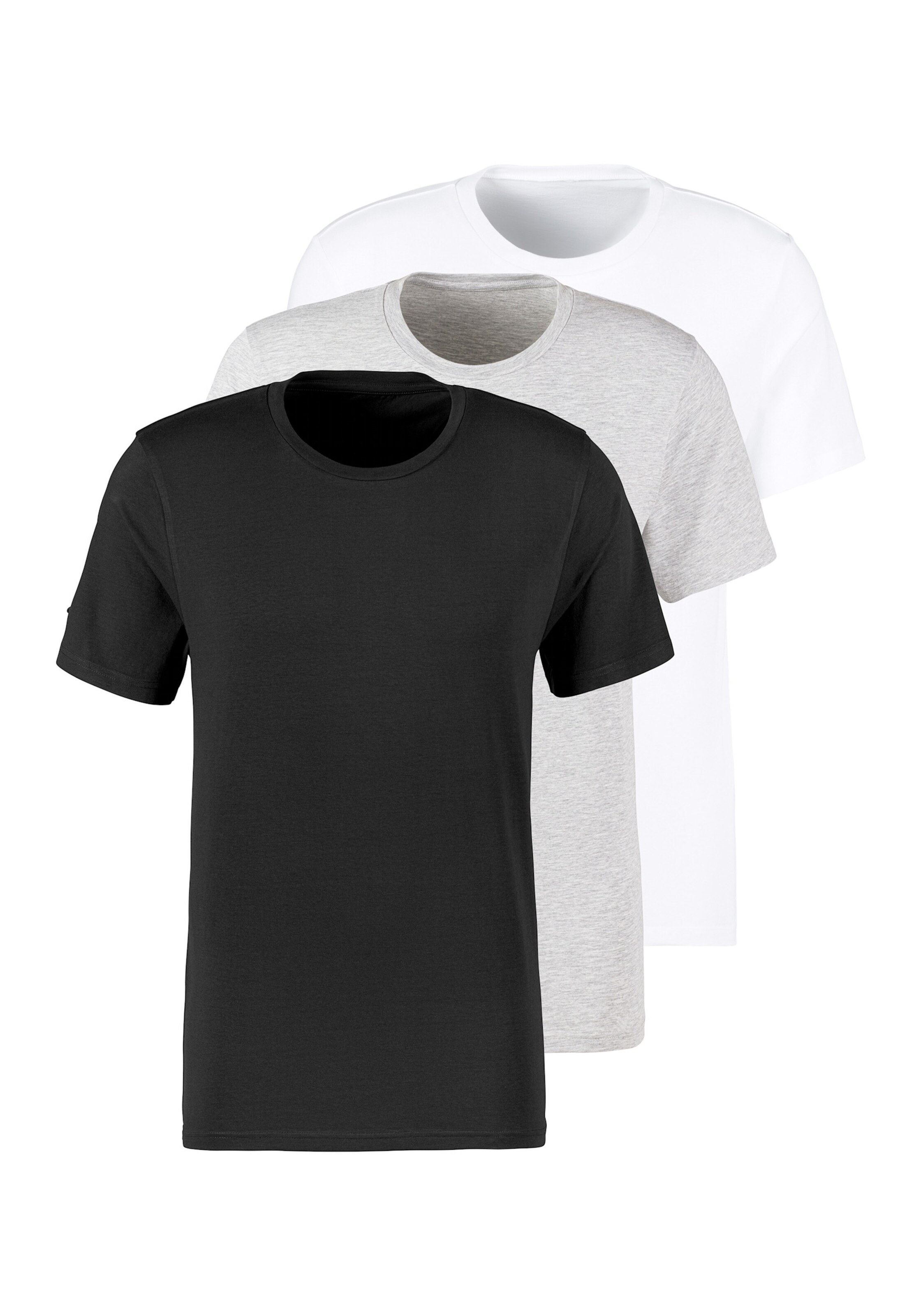 Bruno Banani T-Shirt in schwarz, grau-meliert, weiß