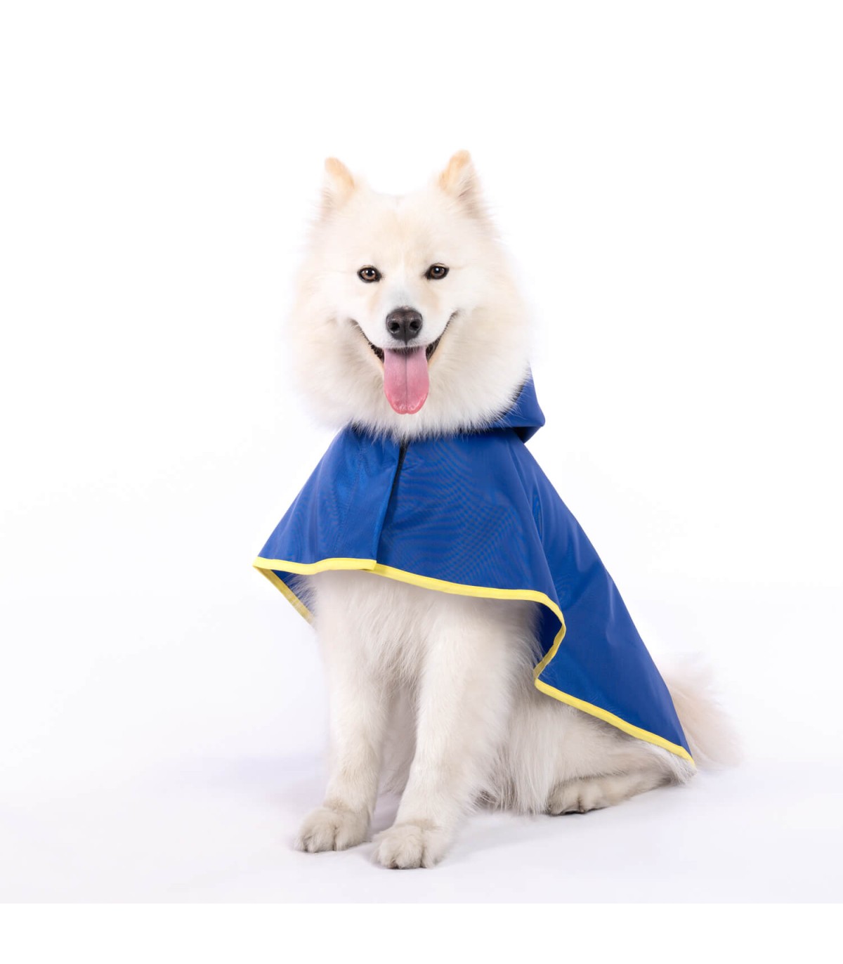 Capa de chuva azul brilhante para cães Groc Groc Lola
