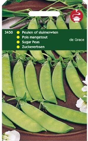 groentezaad Peul laag (Pisum sativum 'De Grace')