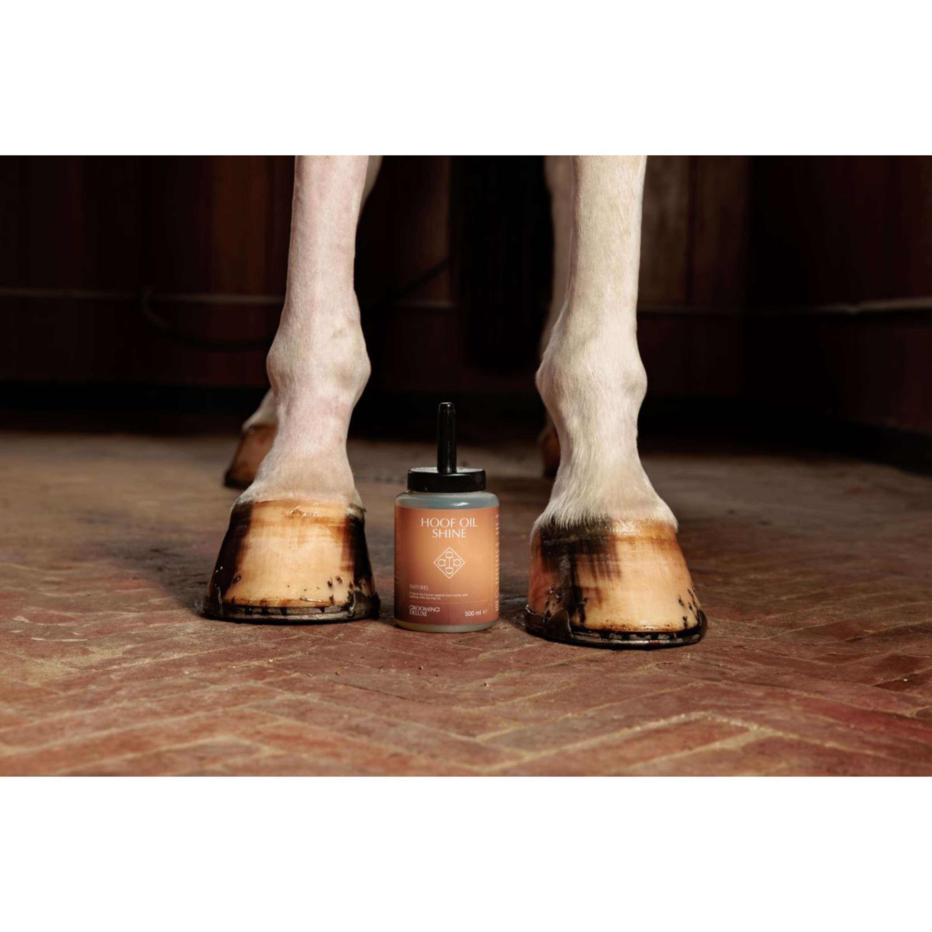 Grooming Deluxe by Kentucky Hoefolie Shine Naturel