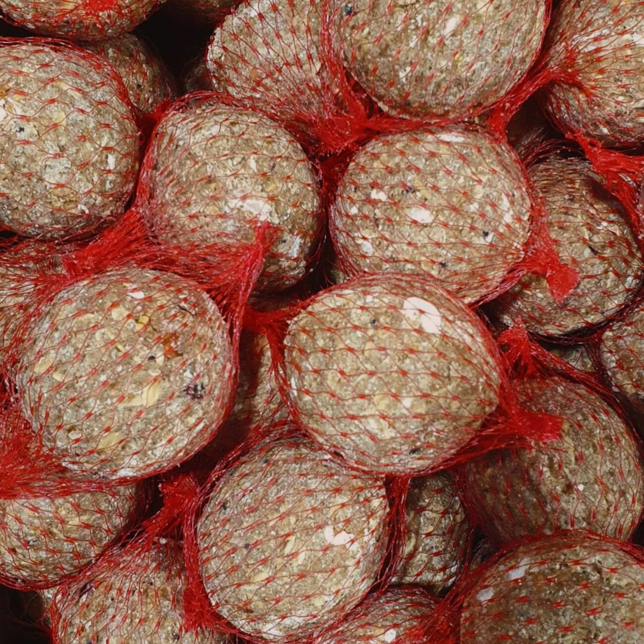 Orni Meisenknödel mit Insekten und Früchte, mit Netz ohne Folie 100 Stück