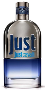Roberto Cavalli Just for Him Eau de Toilette 90ML