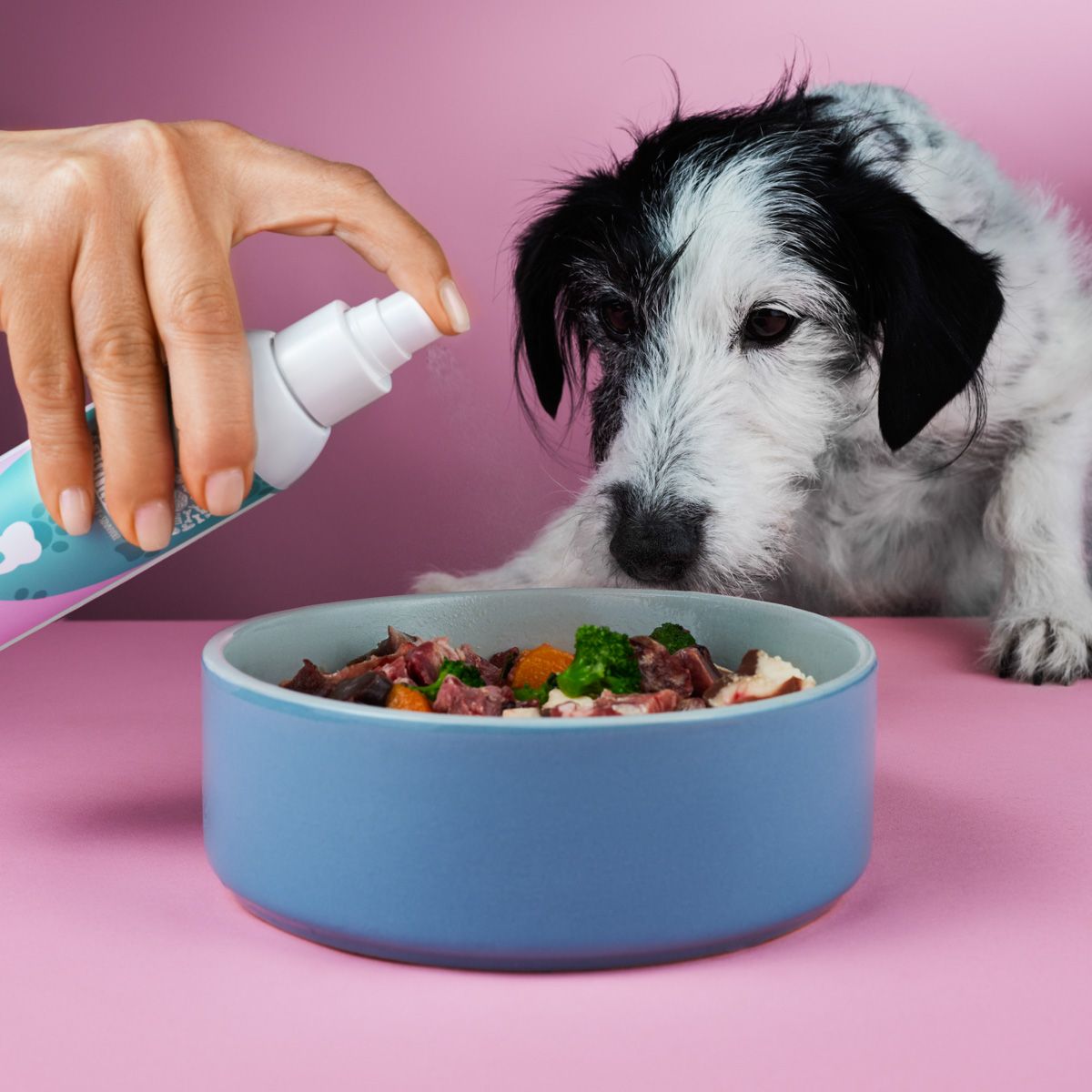 Tierliebhaber Dentalspray
