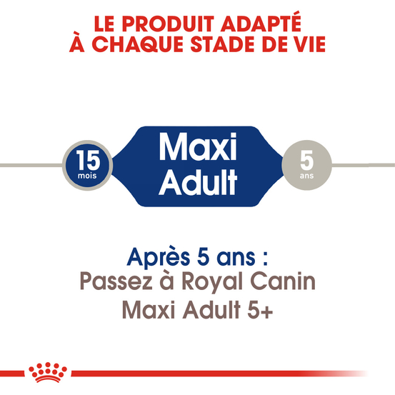 Croquettes chien de grande taille Maxi Adult 15kg