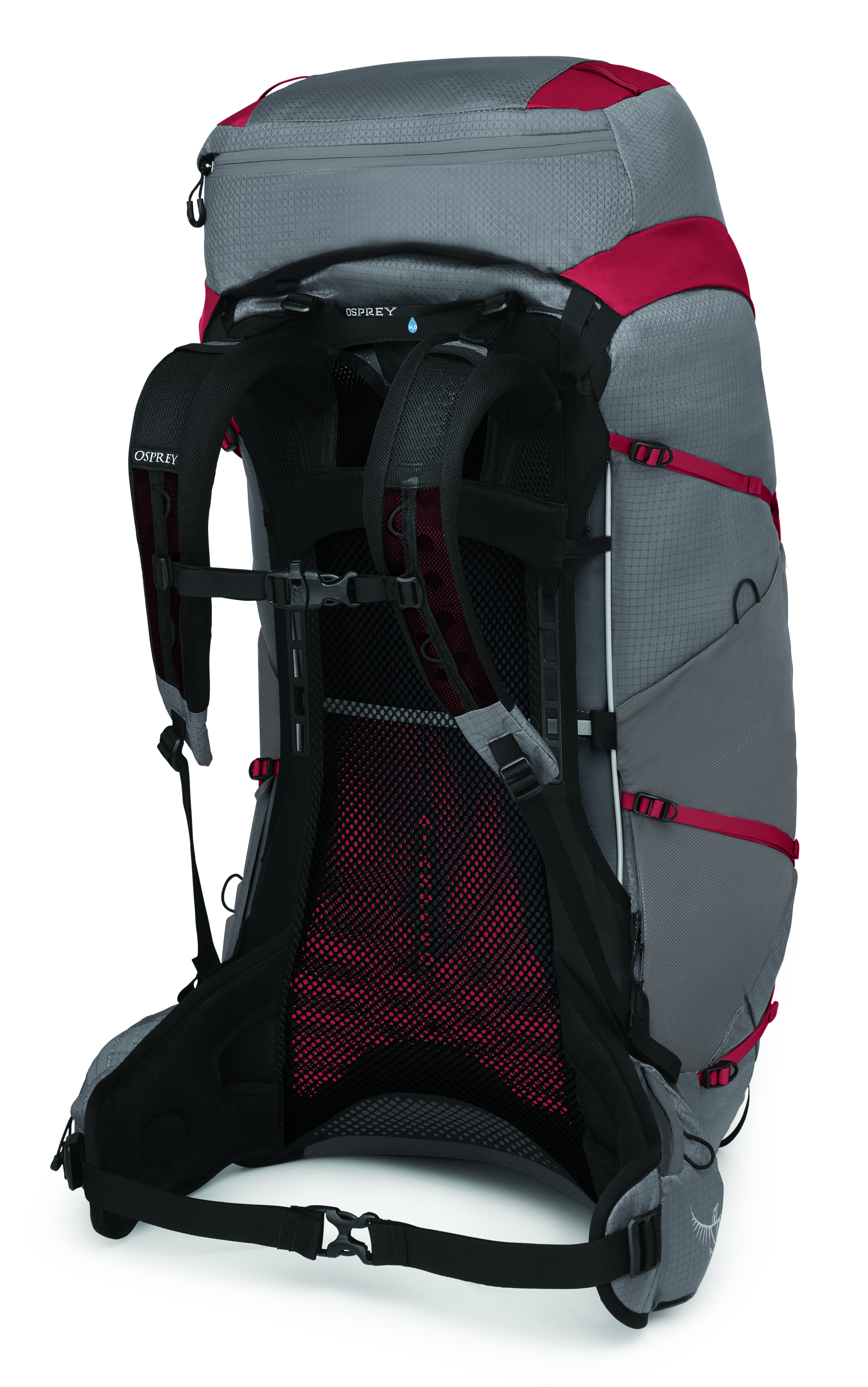 Eja Pro 55 Dale Grey/Poinsettia Red