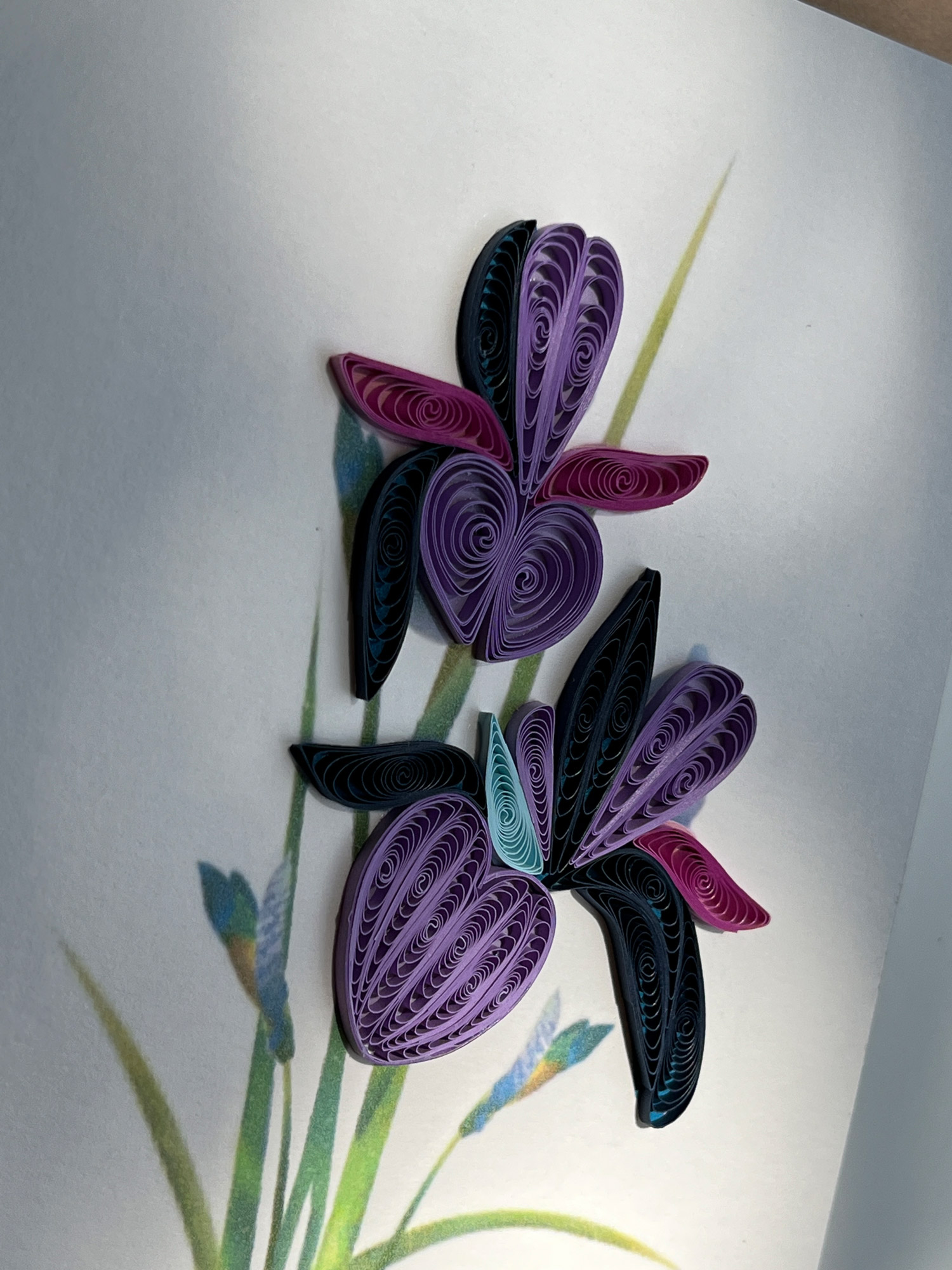 Grußkarte 'Schwertlilien', B 12,7 cm, H 17,8 cm günstig bestellen