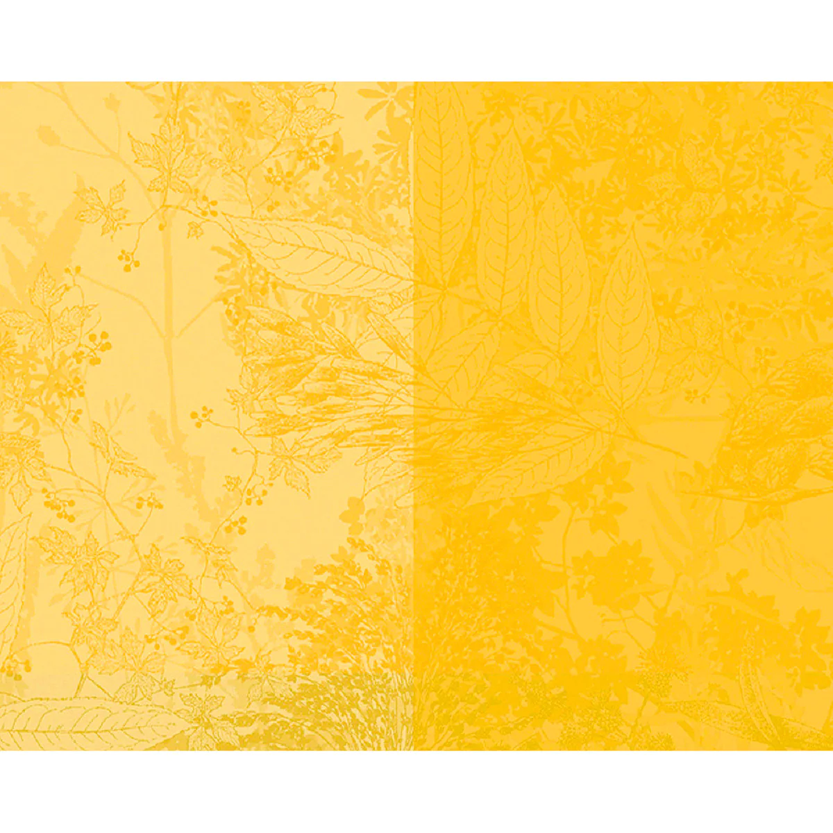 Set pur coton jaune 40X50 Garnier Thiebaut