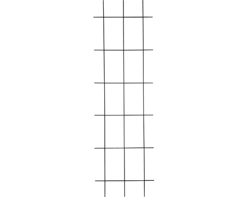 Lafiora ijzeren trellis 45x150 cm antraciet
