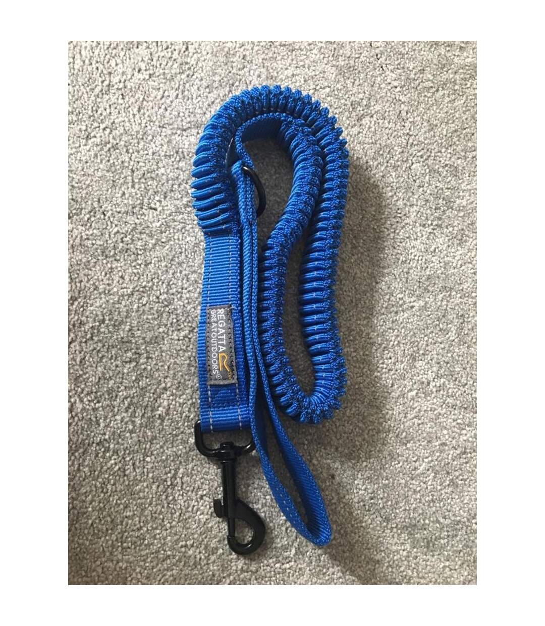 Regatta - Laisse pour chiens (Bleu) (Taille unique) - UTRG5421