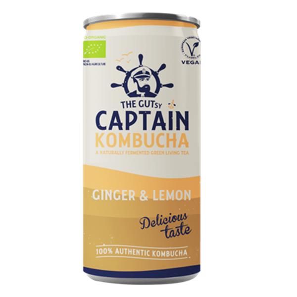 Kombucha Gengibre E Limão Bio