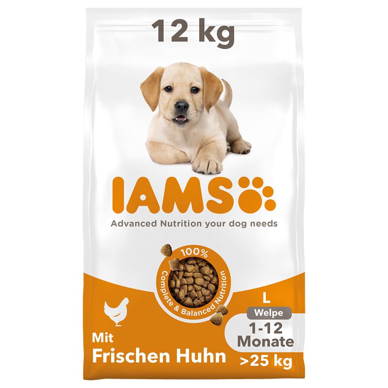 IAMS Advanced Nutrition Puppy Large poulet