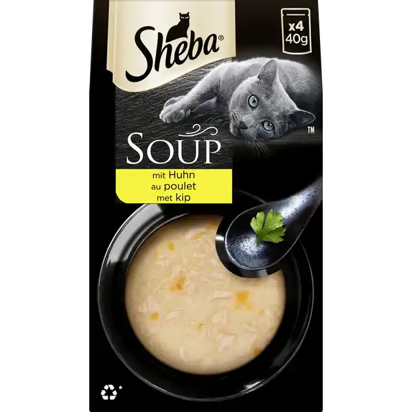 Soup mit Huhn Multipack