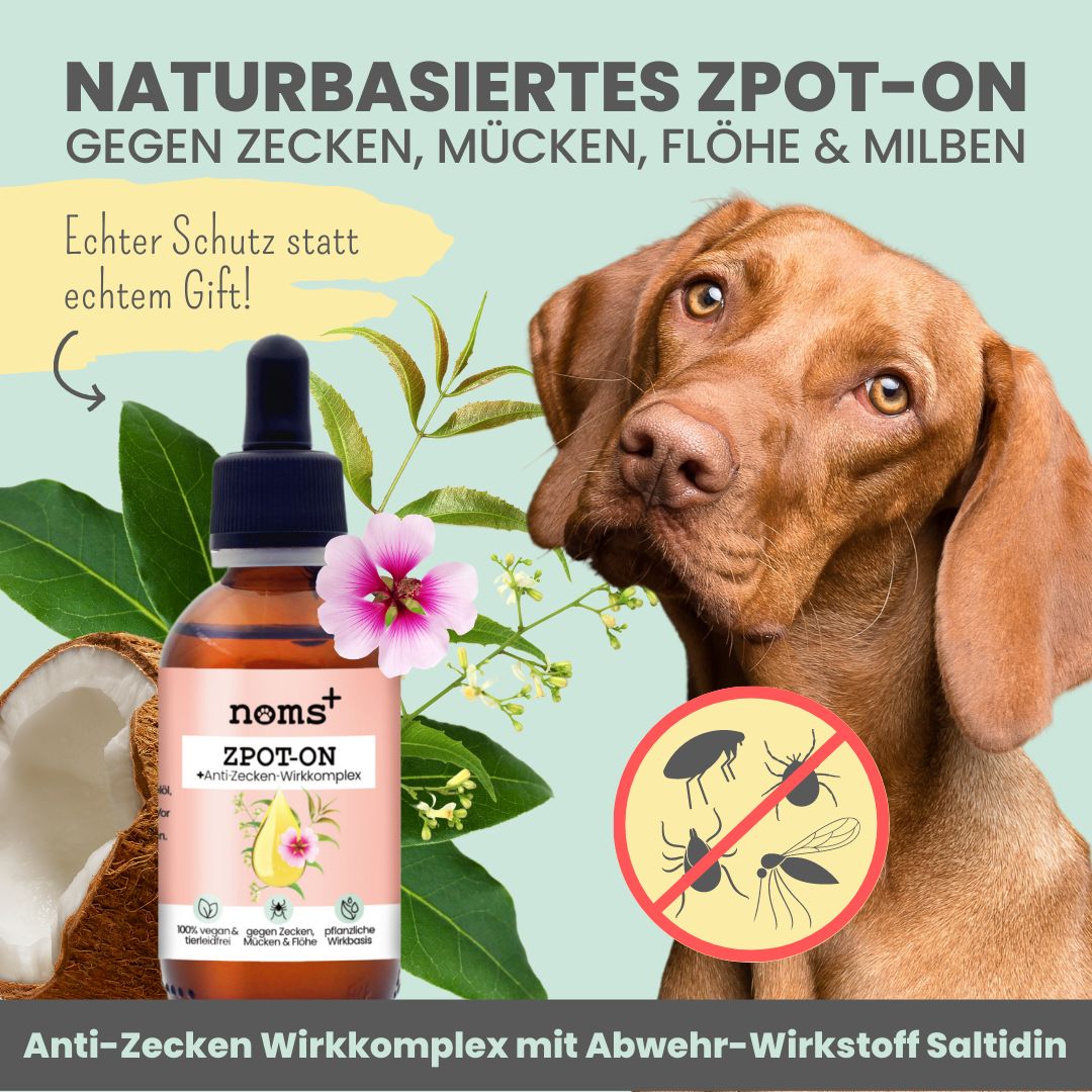 noms+ Zpot-on für Hunde gegen Zecken [Jahresvorrat], Flöhe, Milben & Mücken