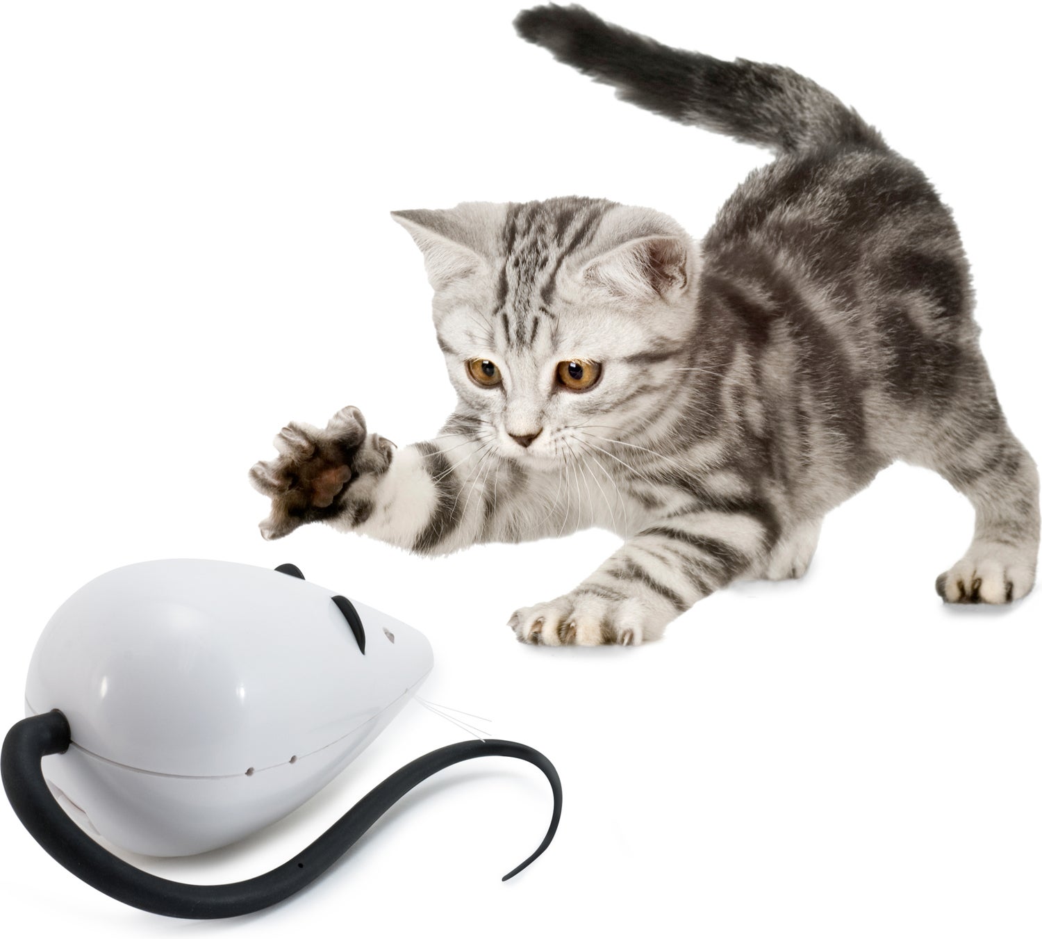 FroliCat kattenspeelgoed Rolorat wit 25,2 x 14 x 7,6 cm