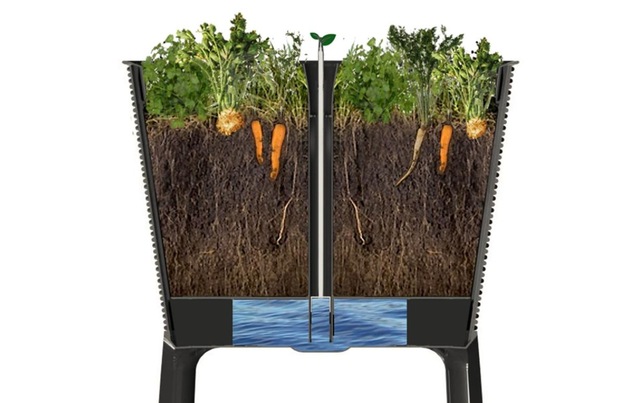 Keter Hochbeet »Growing Pflanztrog«