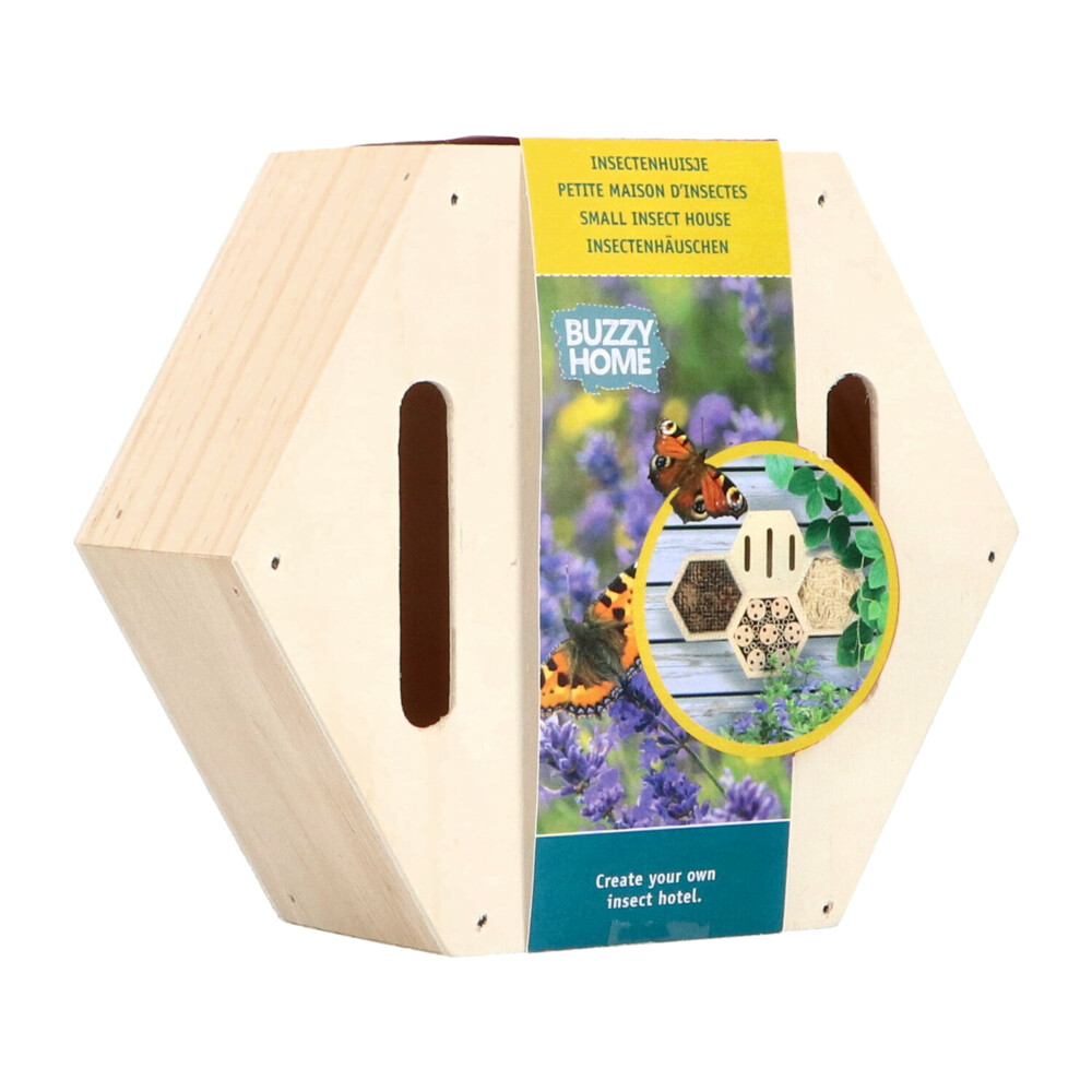 Bûten Home Insectenkast Hexagon Vlinder