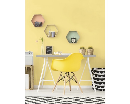Premium muurverf Stijl Kleur SELECTIE 20 conserveermiddelvrij Savannah Light 2,5 L