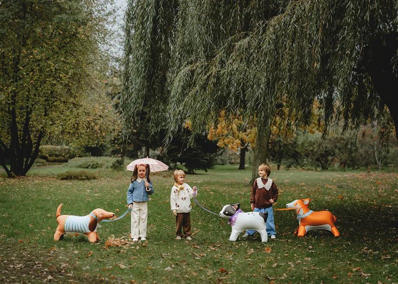 Hond Ballon 75cm